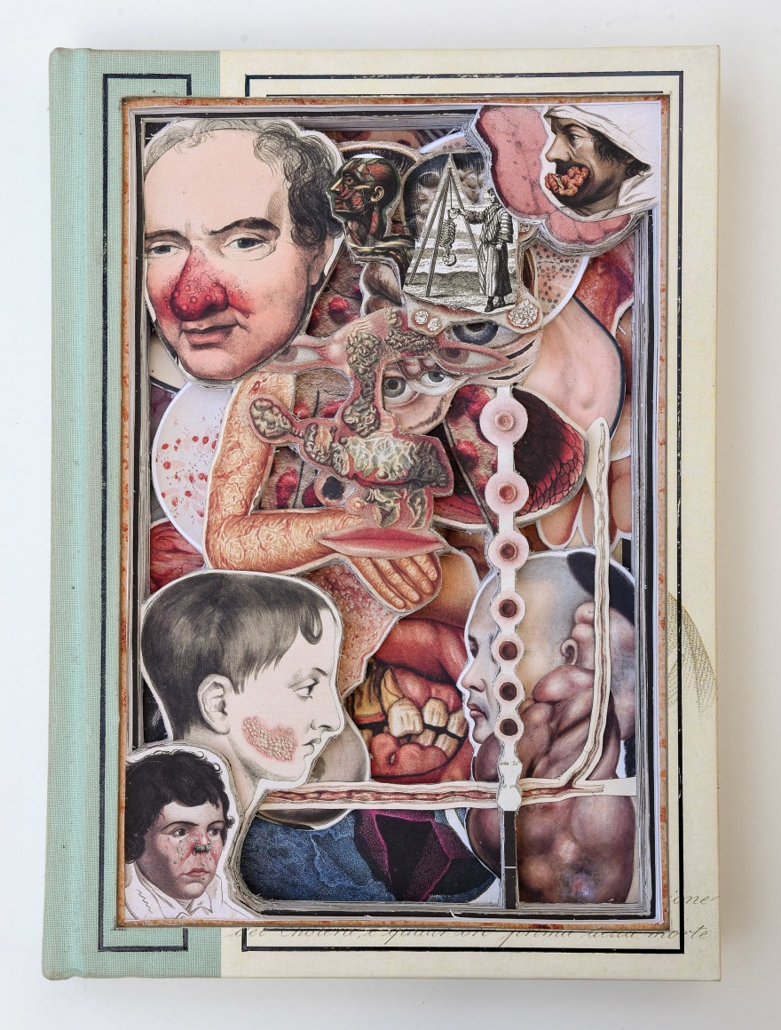 James Allen - Sick Rose view 2