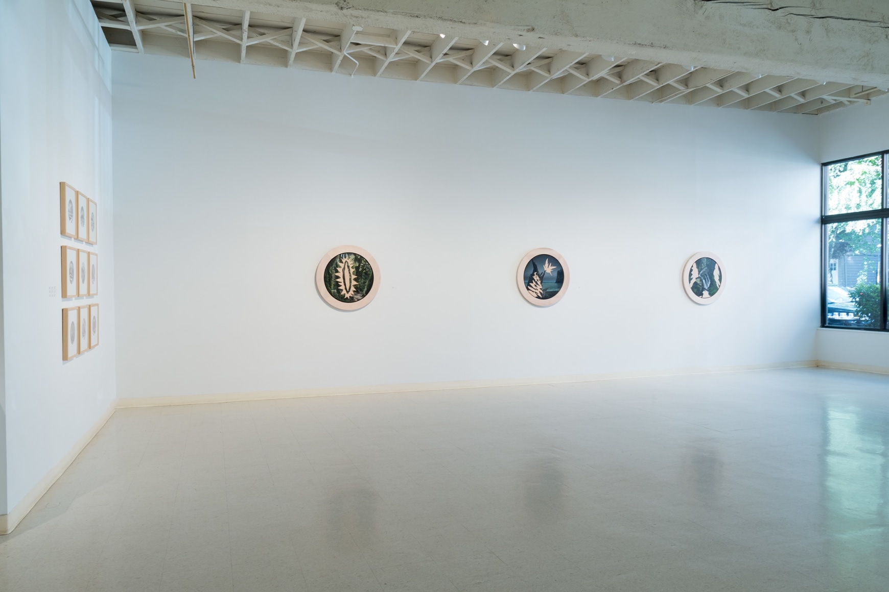 Miller - Installation View June 2017