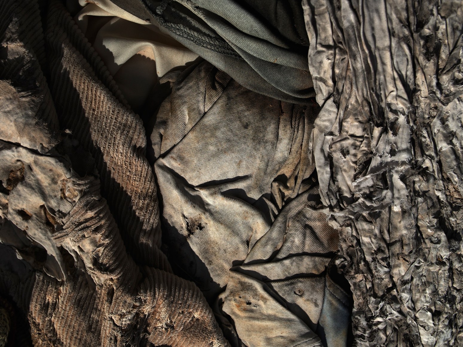 David Zimmerman, Last Refuge, Untitled (last refuge 97), 2011, Sous Les Etoiles Gallery