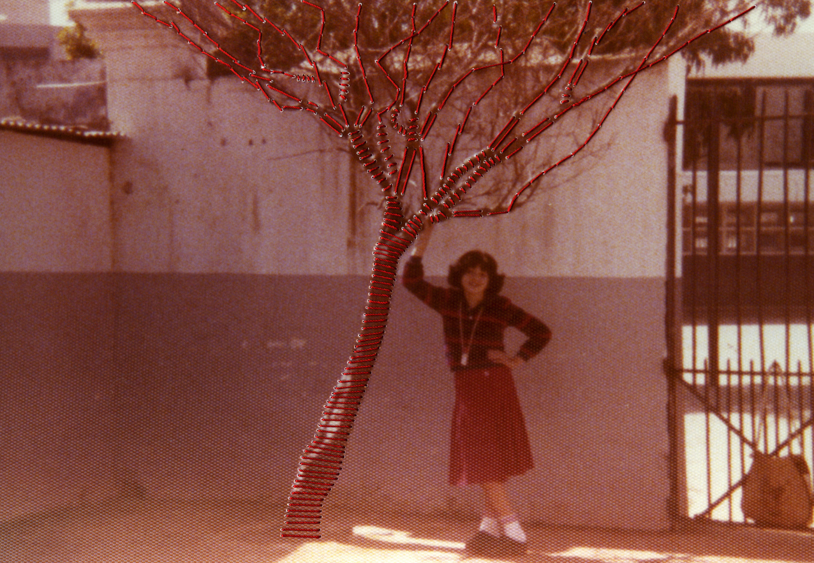 l'arbre brod&eacute; (the embroidered tree), 2012 - Photos Souvenirs | Carolle Benitah Fine Art Photography