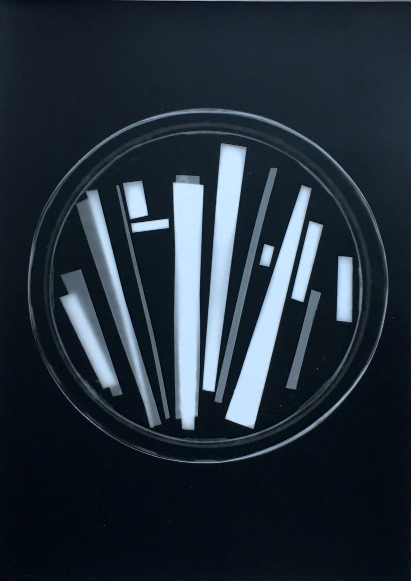 Untitled #1 - Photograms 2019 | Richard Caldicott&rsquo;s Experimental Photography