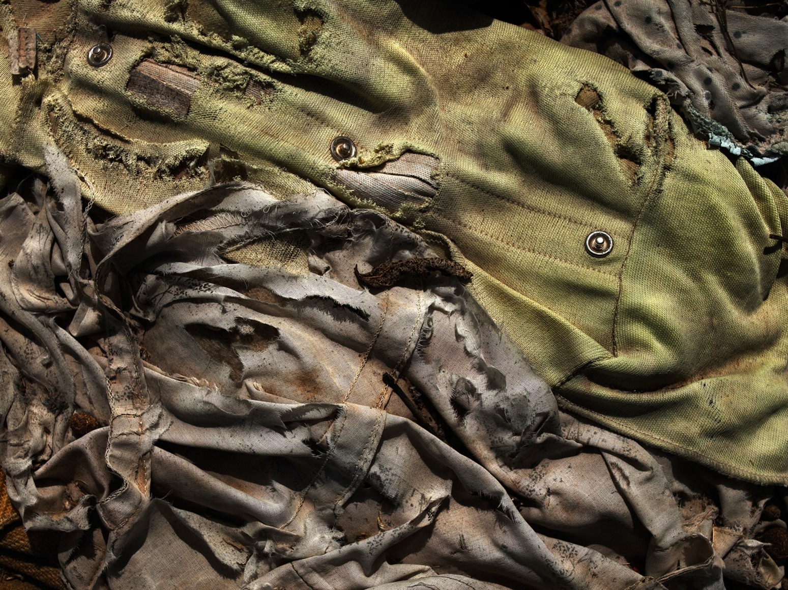 David Zimmerman, Last Refuge, Untitled (last refuge 60), 2011, Sous Les Etoiles Gallery