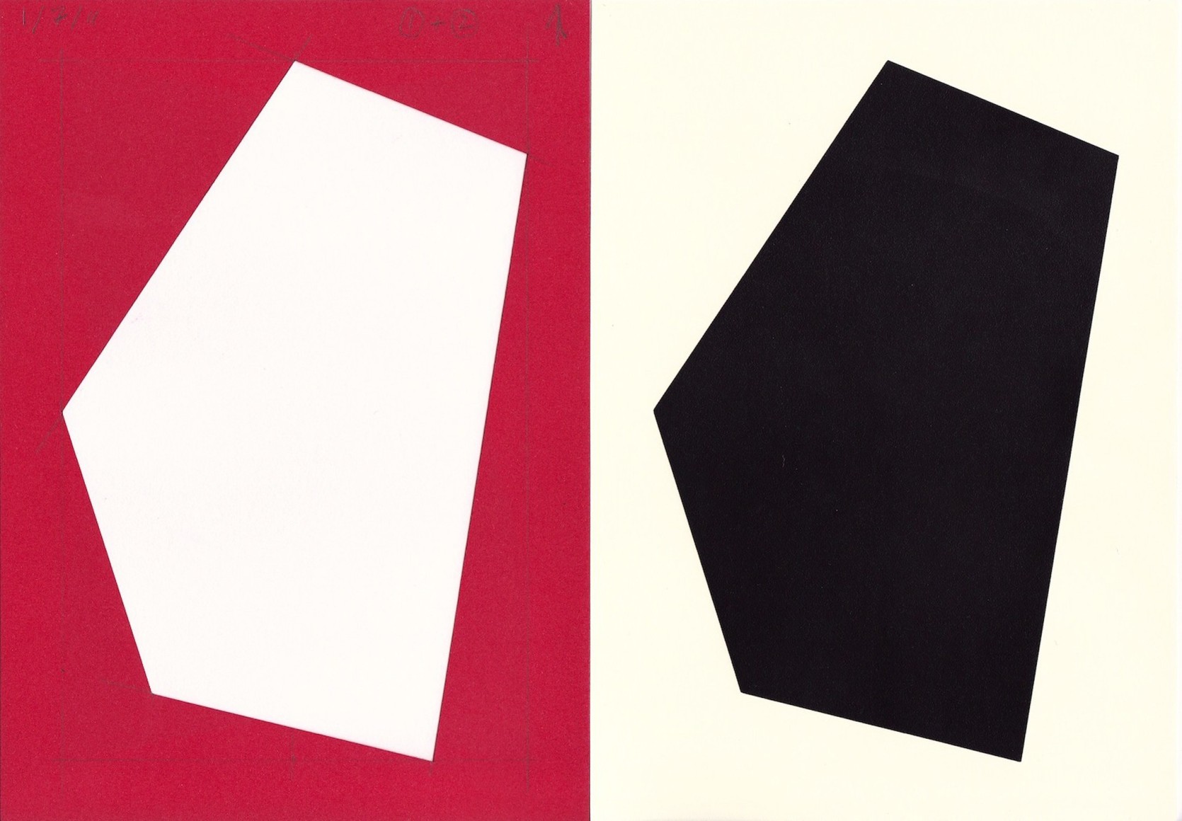 B/W photogram and paper negative (31), 2011 - Photograms &amp; Paper Negatives | Richard Caldicott Fine Art