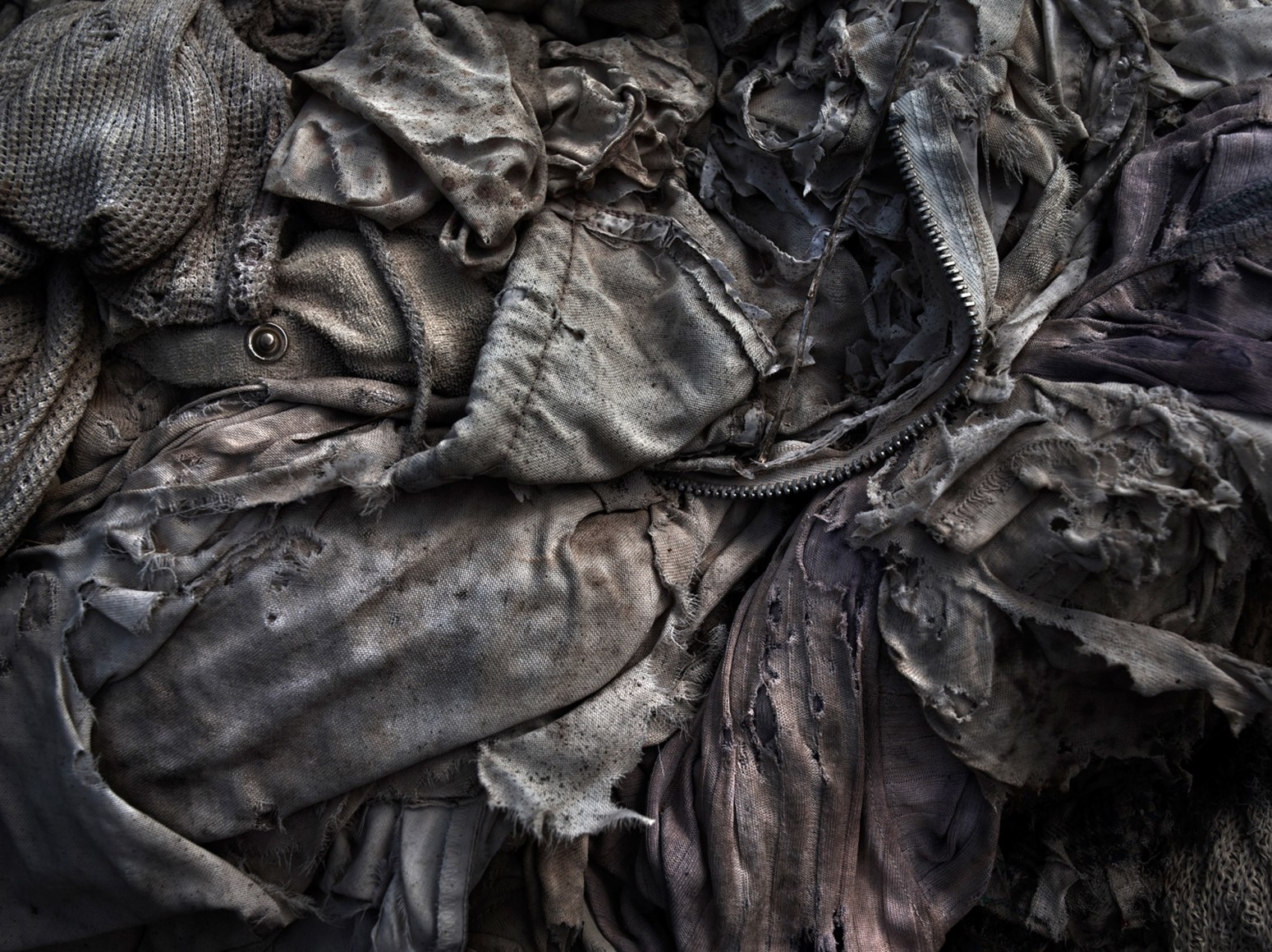 David Zimmerman, Last Refuge, Untitled (last refuge 67), 2011, Sous Les Etoiles Gallery