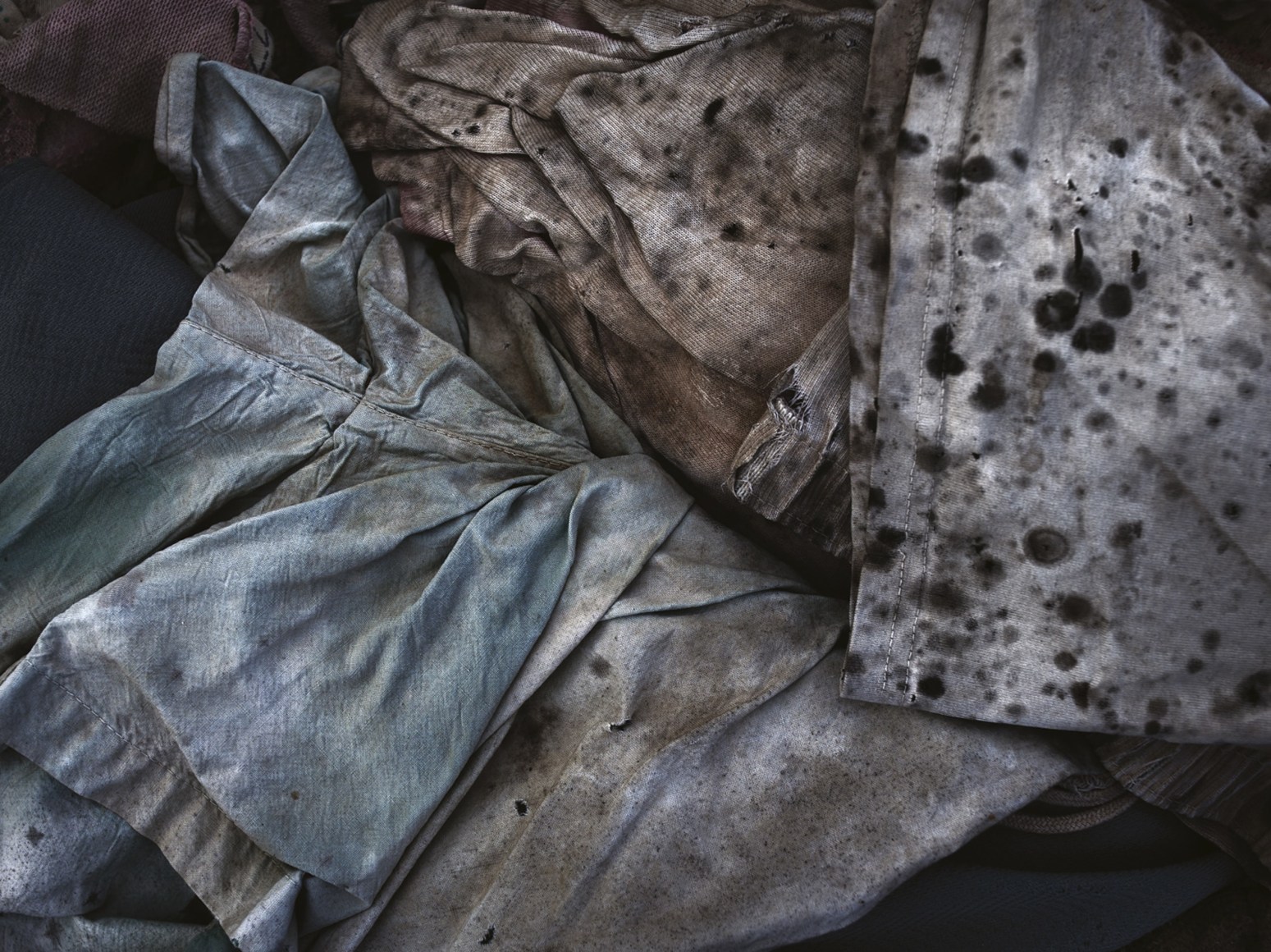 David Zimmerman, Last Refuge, Untitled (last refuge 276), 2011, Sous Les Etoiles Gallery