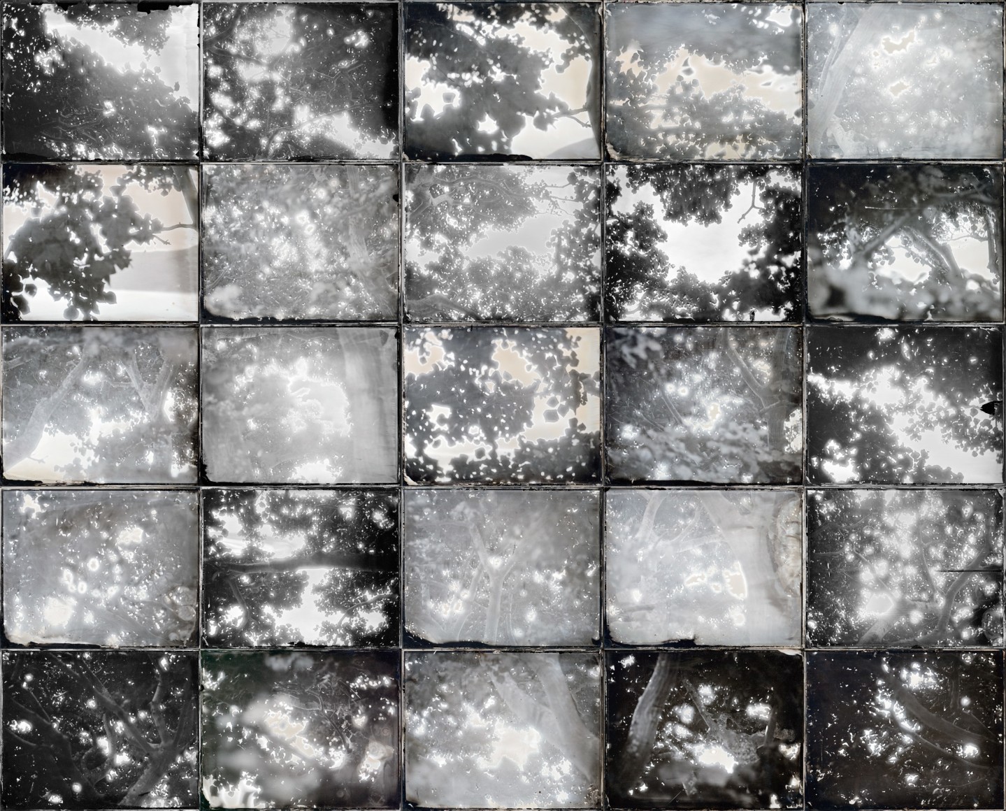 Ichigo Sugawara, Shodon, 2005, original glass plates, Sous Les Etoiles Gallery