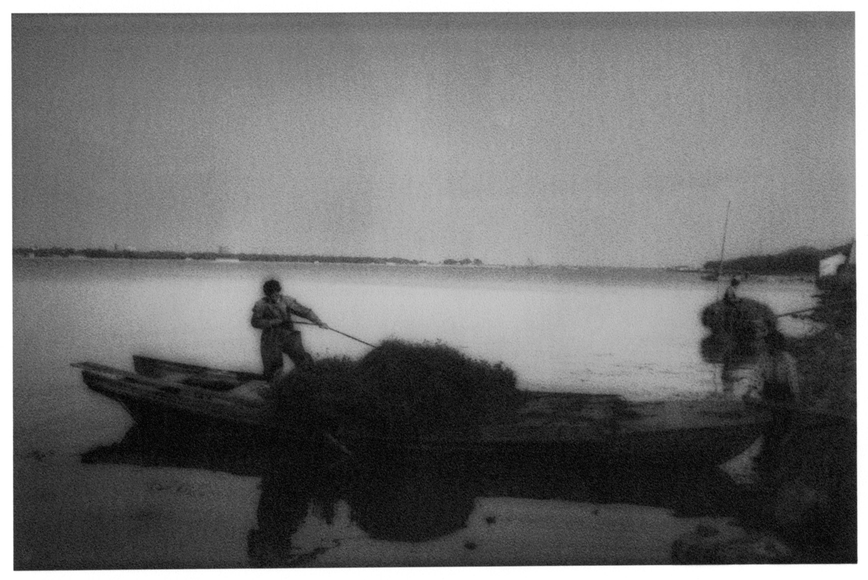 Collecting lake grass on Lake Taihu, Jiangsu Province, China, 1994 - Empire | James Whitlow Delano Documentary Fine Art