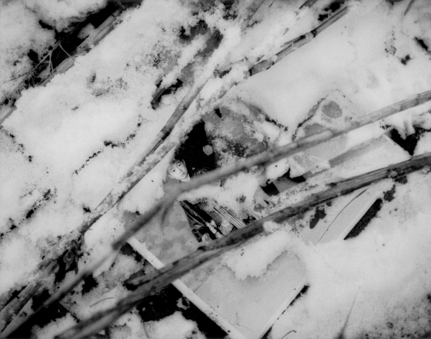 Portrait of a young boy found several kilometers inland from the sea, swept there by the great Tsunami - James Whitlow Delano