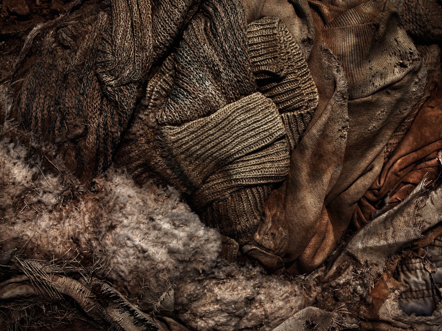 David Zimmerman, Last Refuge, Untitled (last refuge 124), 2011, Sous Les Etoiles Gallery