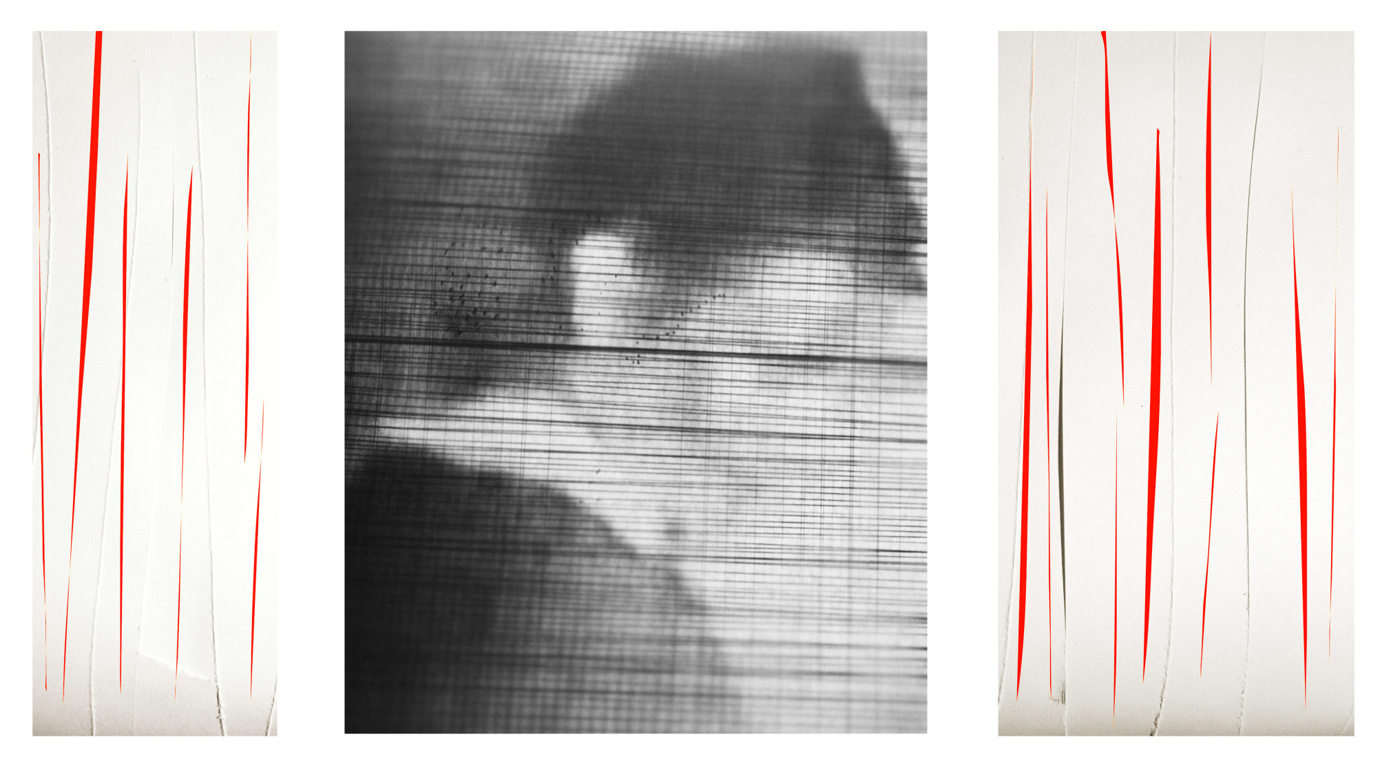 Eeva Hannula, The Structure of Uncertainty, Paper Wound (Triptych), 2014, Sous Les Etoiles Gallery