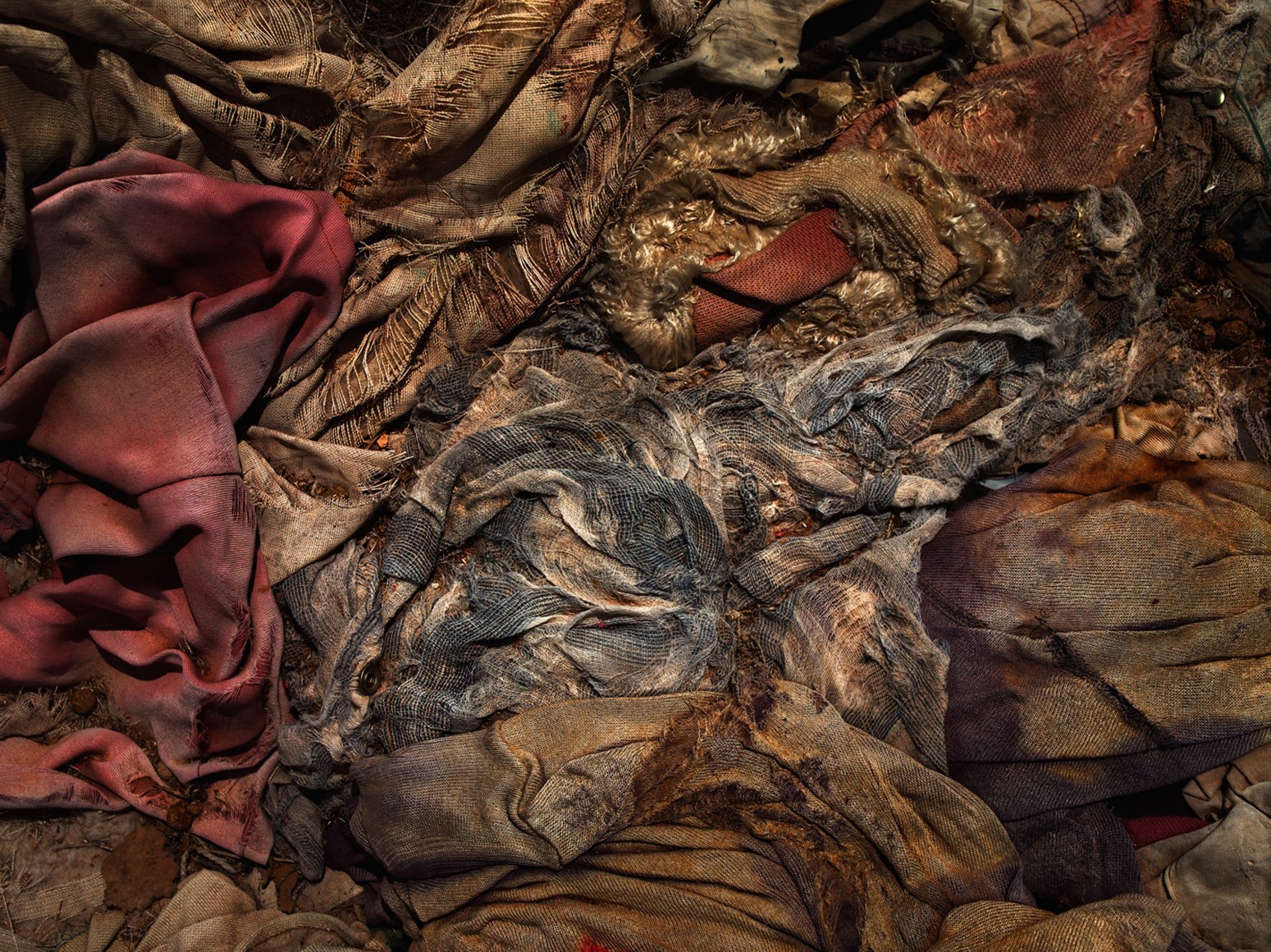 David Zimmerman, Last Refuge, Untitled (last refuge 123), 2011, Sous Les Etoiles Gallery