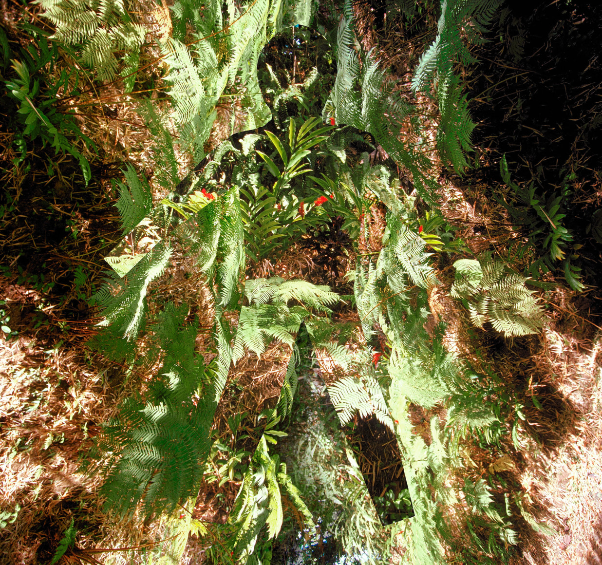 Max Ruiz, Cimarron, Nyanga, 2008, Sous Les Etoiles Gallery