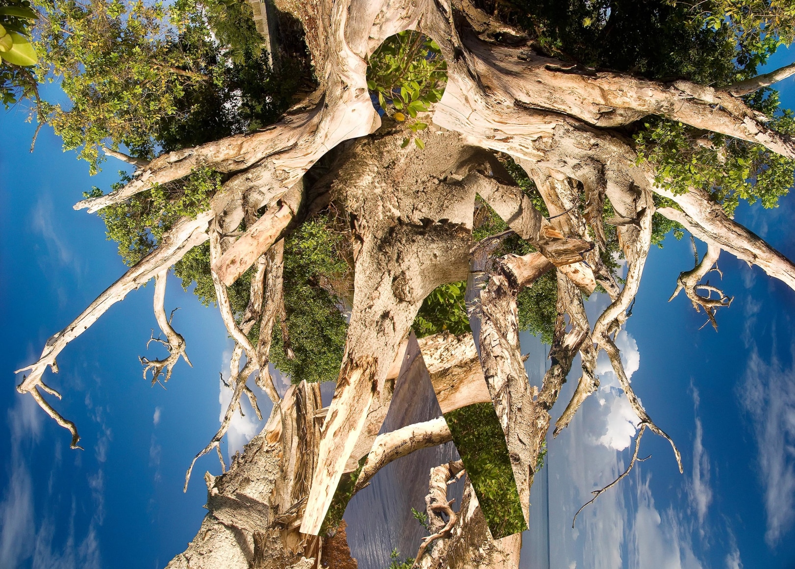 Max Ruiz, Cimarron, Gabriel Prosser, 2008, Sous Les Etoiles Gallery