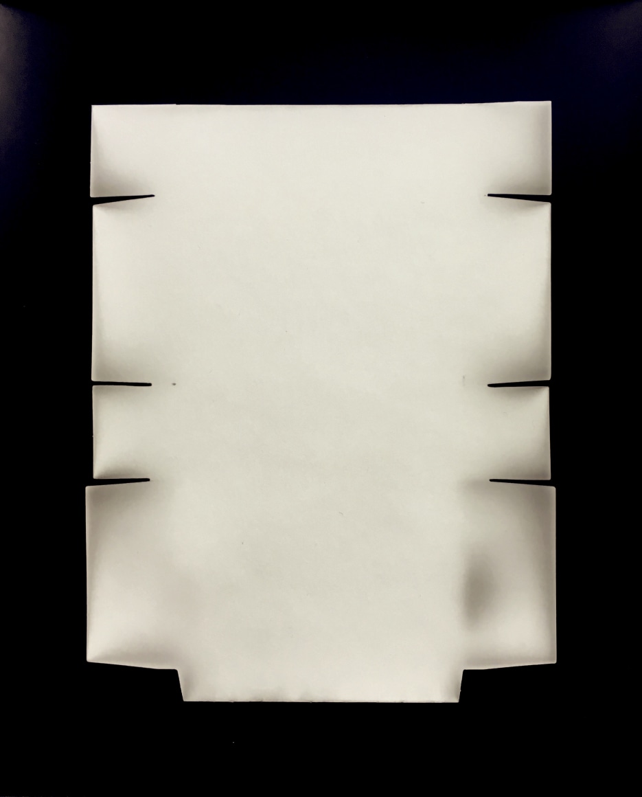 Found #12 - Photograms 2019 | Richard Caldicott&rsquo;s Experimental Photography