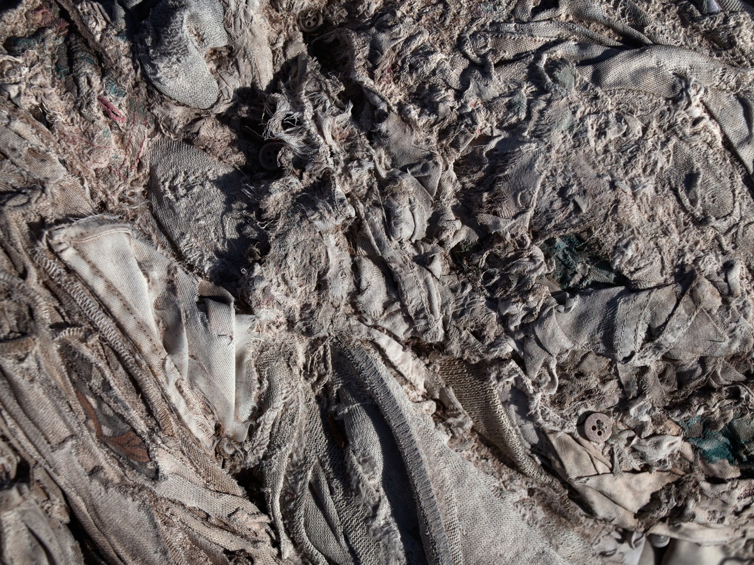 David Zimmerman, Last Refuge, Untitled (last refuge 116), 2011, Sous Les Etoiles Gallery