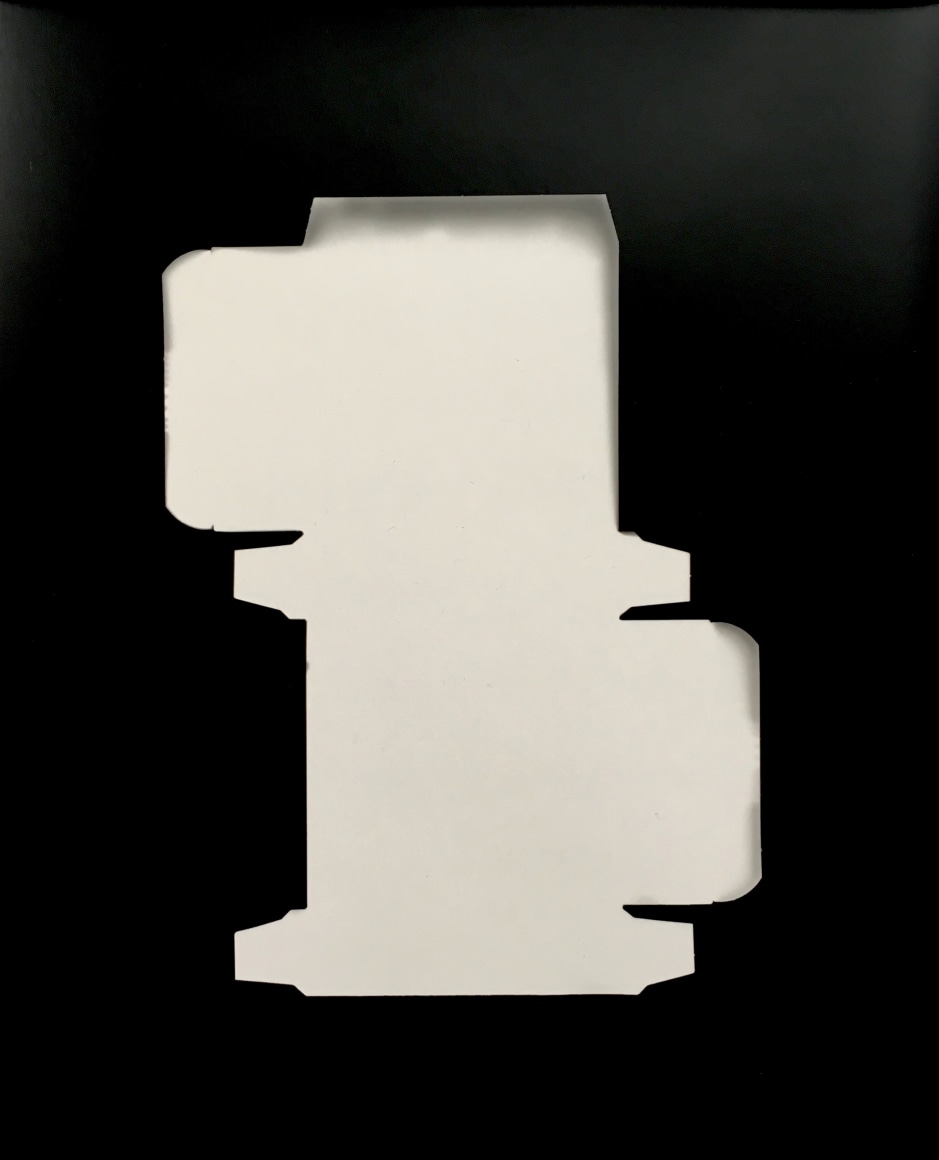 Found #2 - Photograms 2019 | Richard Caldicott&rsquo;s Experimental Photography