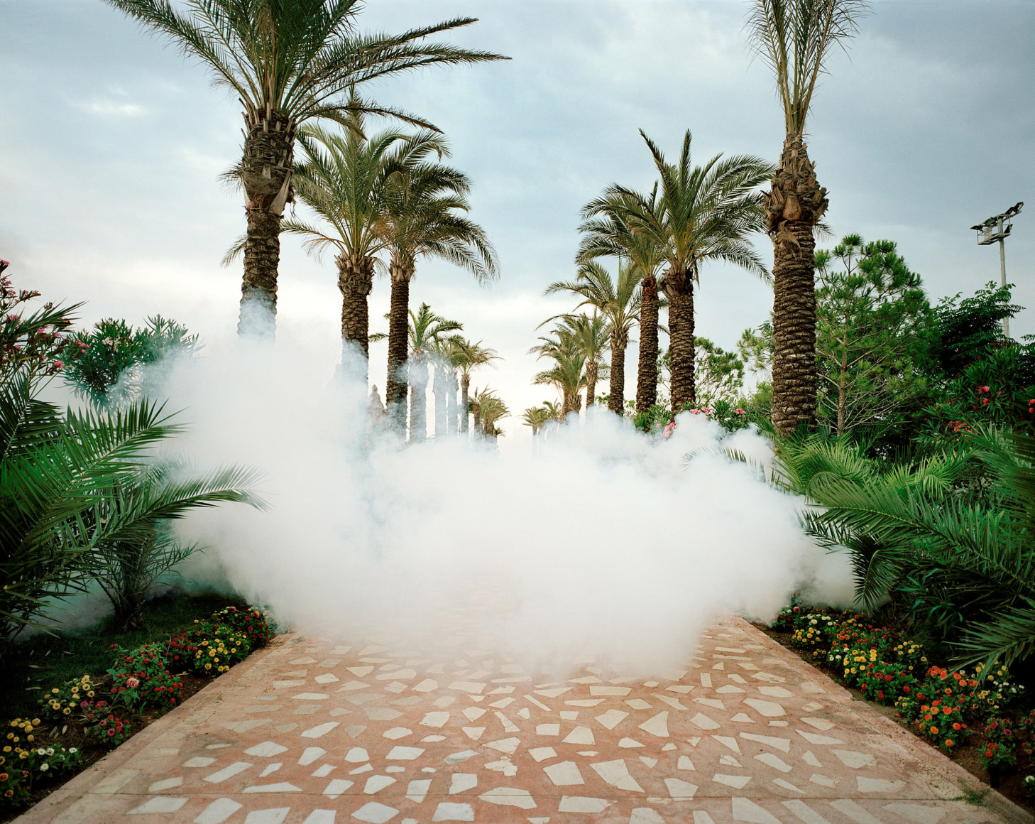 Reiner Riedler, Fake Holidays, Insect Screen, Titanic Resort, Antalya, Turkey, 2006, Sous Les Etoiles Gallery