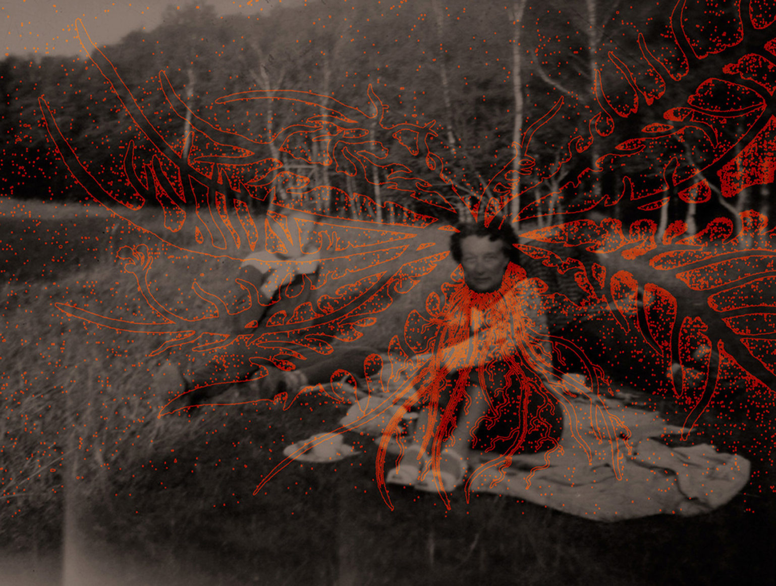 Susanne Wellm, Inner Landscapes, Sous Les Etoiles Gallery, pansy, 2011