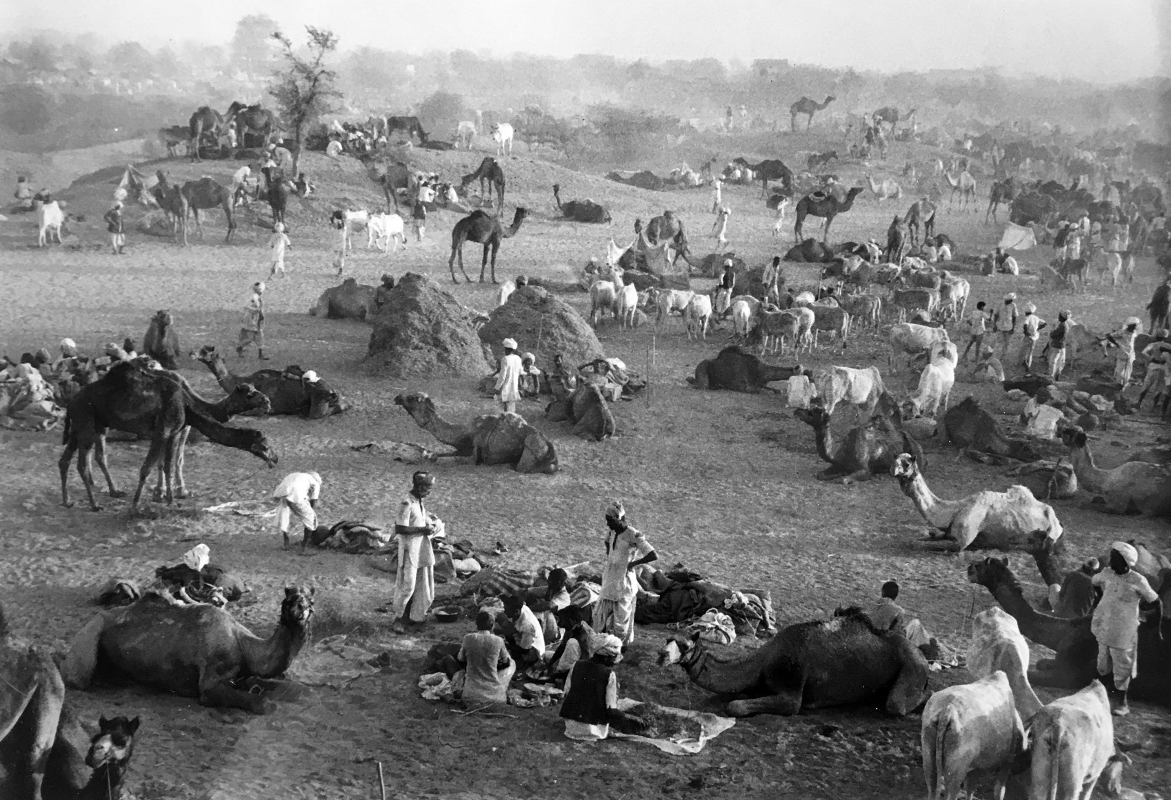 Marc Riboud, photography, Asia, China, Japan, India, Magnum, Sous Les Etoiles Gallery, New York