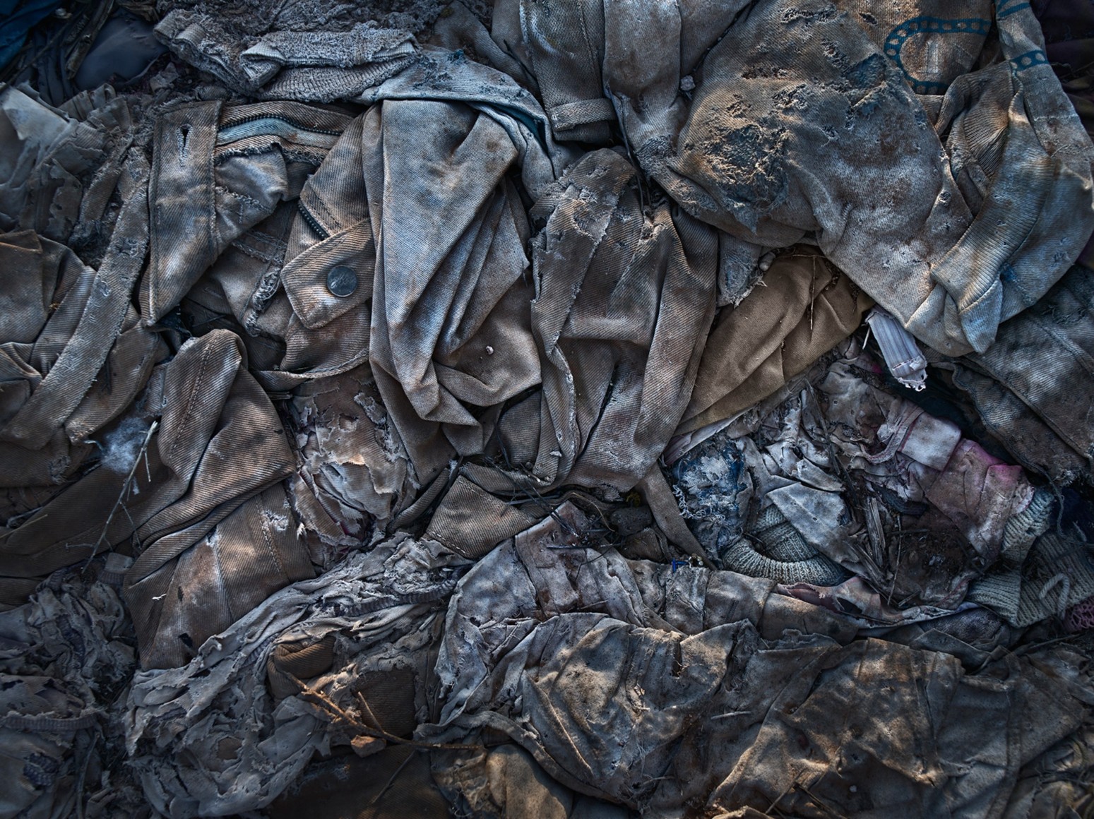 David Zimmerman, Last Refuge, Untitled (last refuge 201), 2011, Sous Les Etoiles Gallery