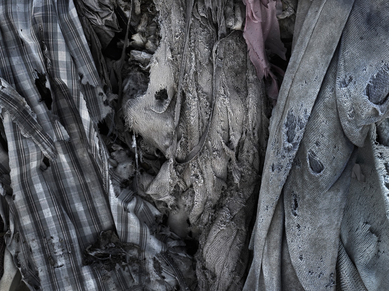 David Zimmerman, Last Refuge, Untitled (last refuge 144), 2011, Sous Les Etoiles Gallery