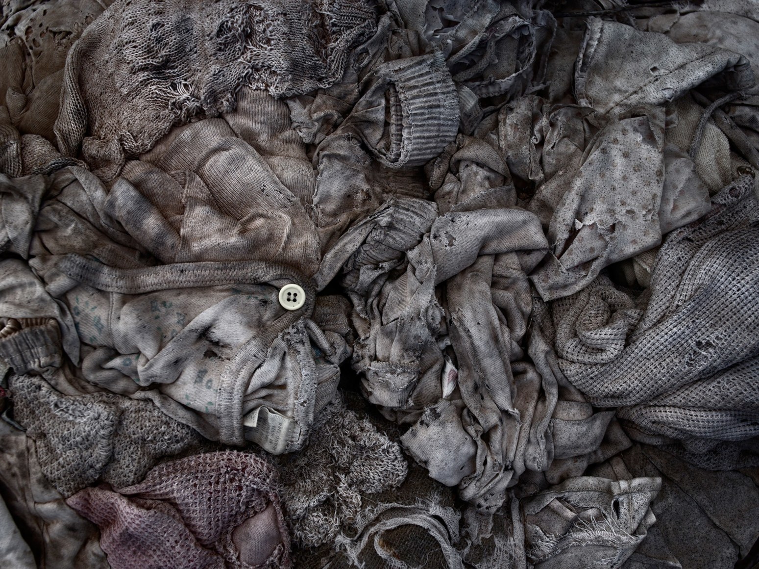 David Zimmerman, Last Refuge, Untitled (last refuge 277), 2011, Sous Les Etoiles Gallery