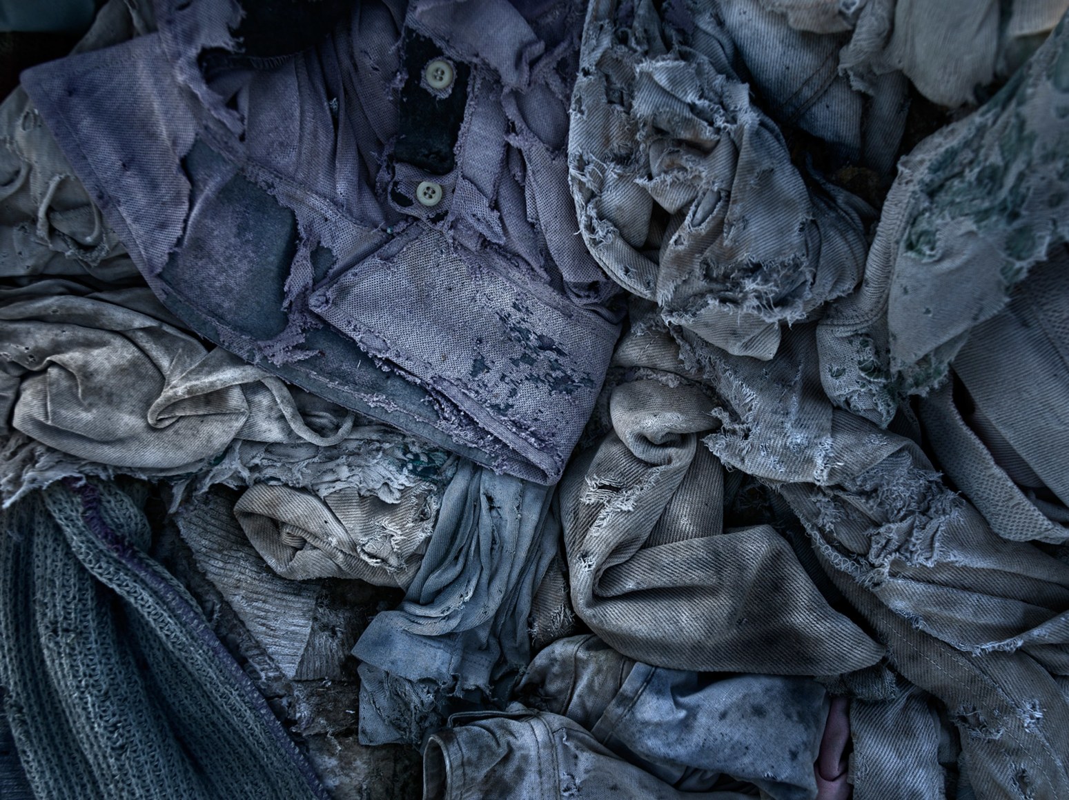 David Zimmerman, Last Refuge, Untitled (last refuge 172), 2011, Sous Les Etoiles Gallery