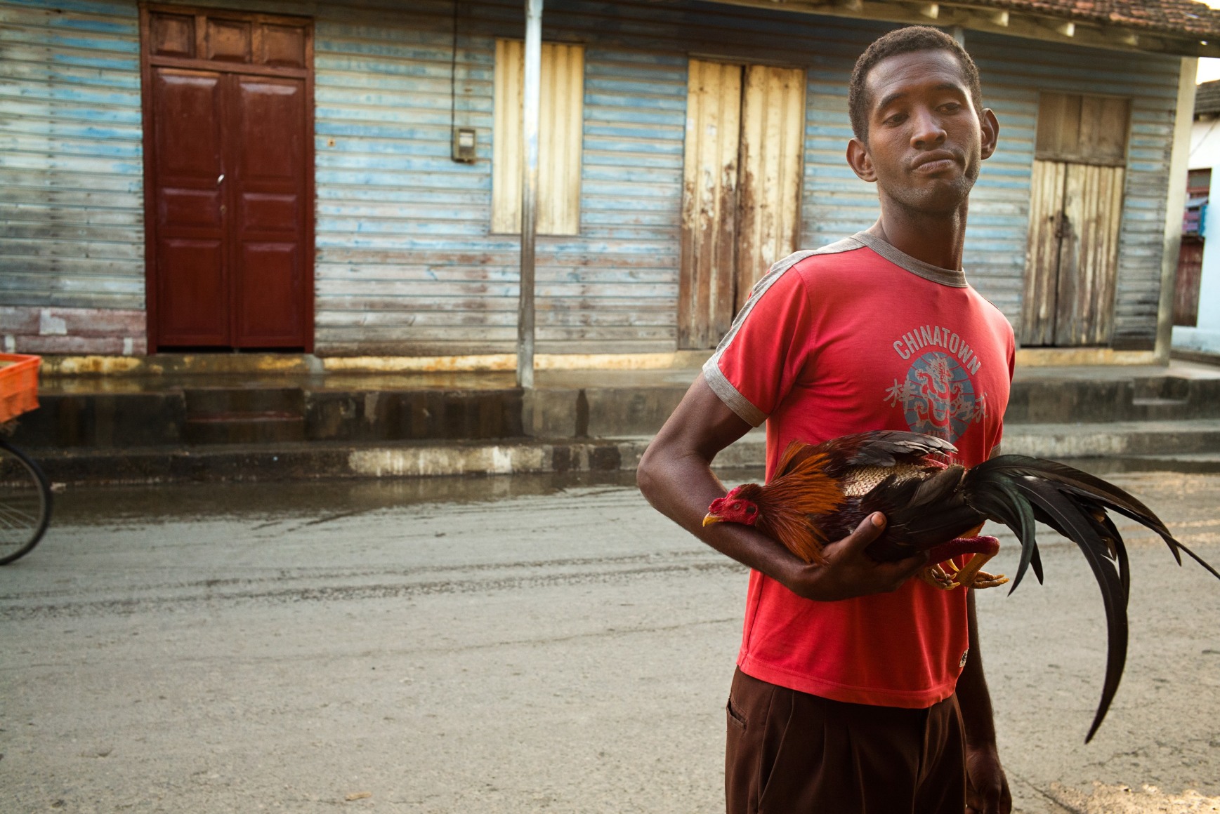 Magdalena Sol&eacute;, Cuba - Hasta Siempre (Cuba Forever), Boy with Fighting Rooster, Baracoa, 2013, Sous Les Etoiles Gallery