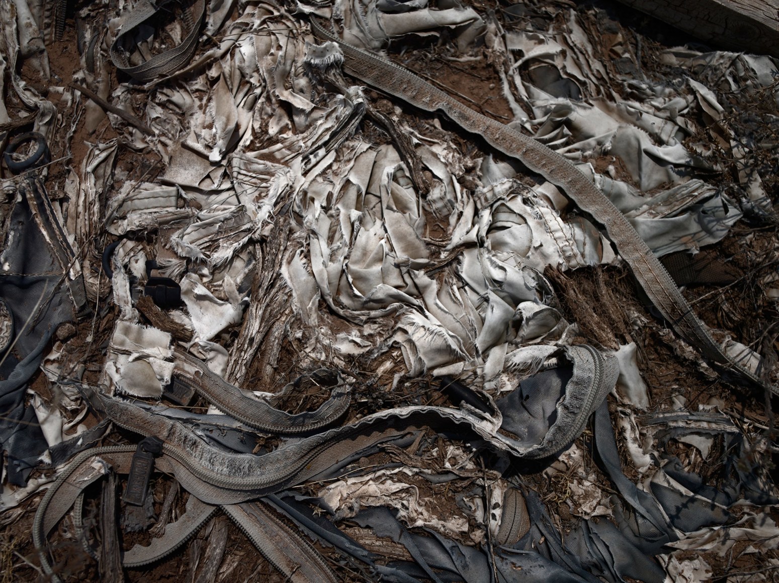 David Zimmerman, Last Refuge, Untitled (last refuge 13), 2011, Sous Les Etoiles Gallery