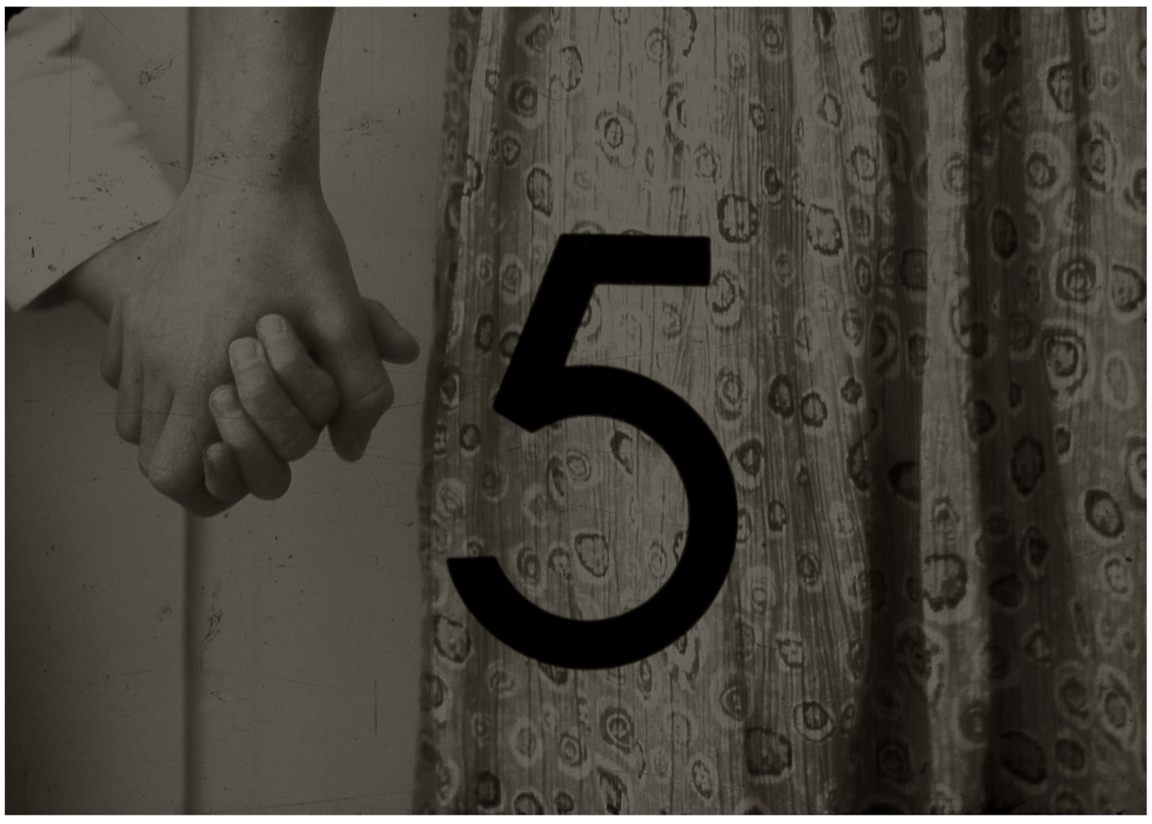 Arundel gardens, 2013 -  - Robin Cracknell