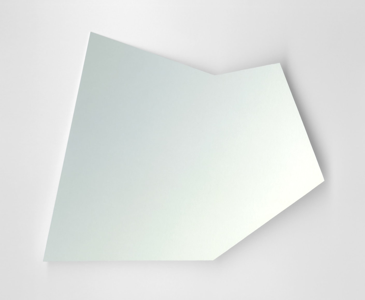 TDO 2014 VII - Nina Brauhauser