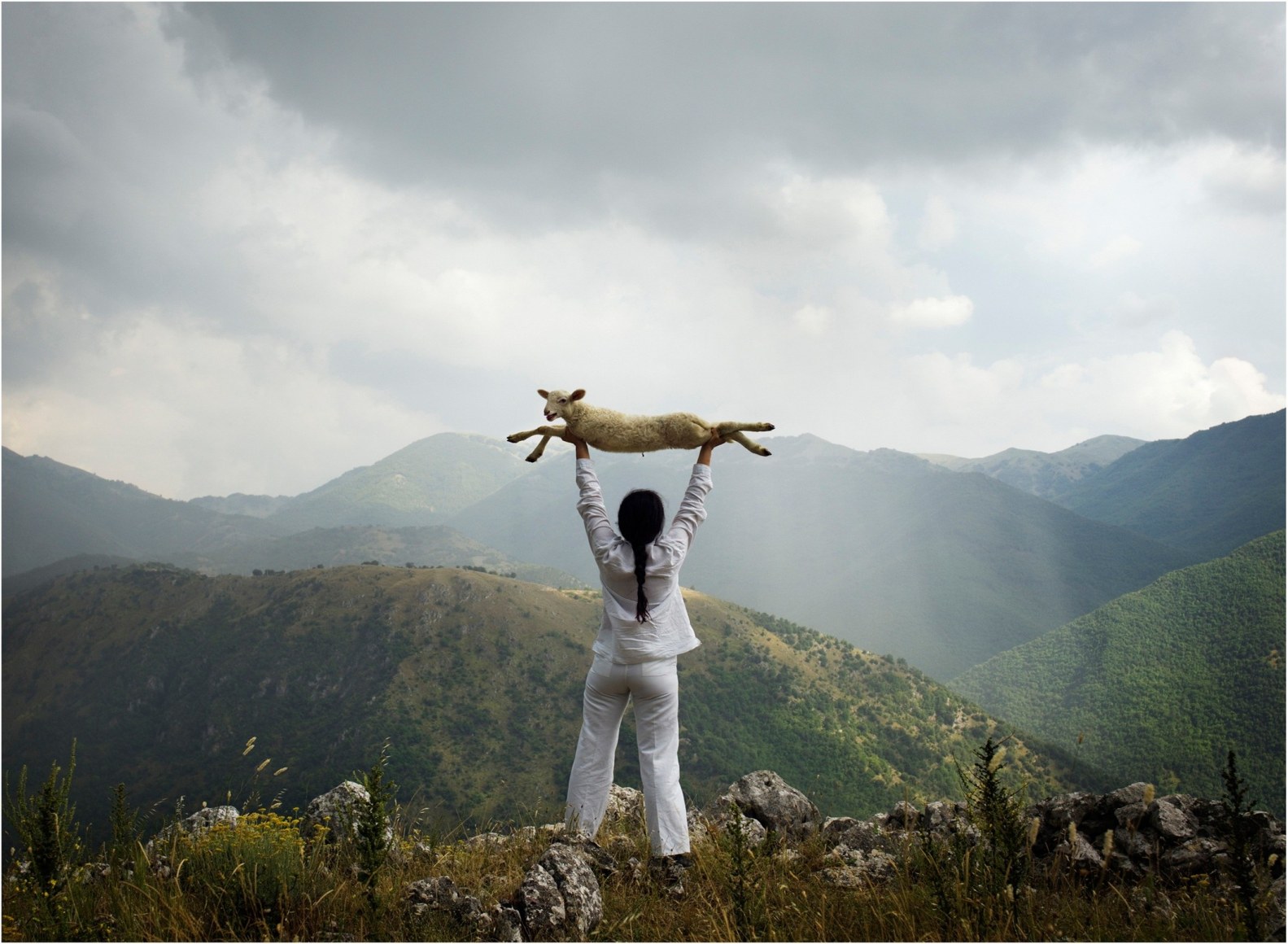 Holding the Lamb, 2010