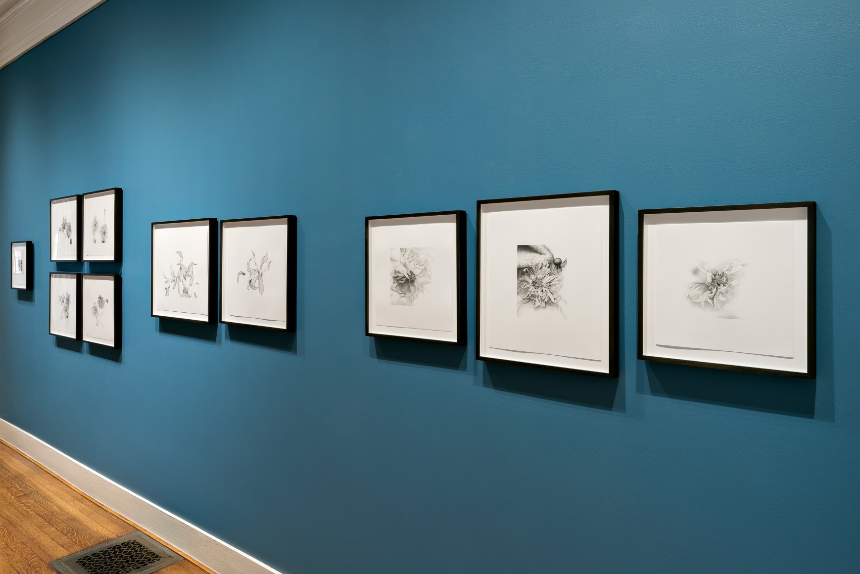 Rosana Castrillo D&iacute;az