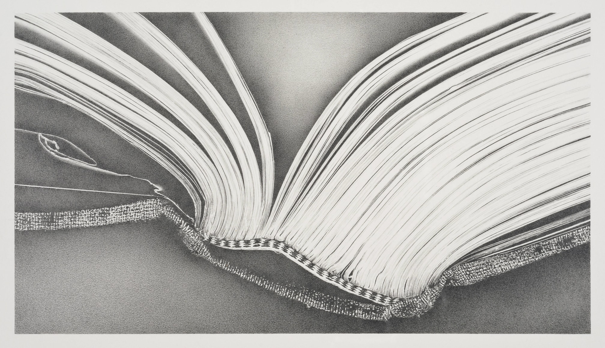 Rosana Castrillo Diaz, Untitled RCD# 5/2/2009, 2009