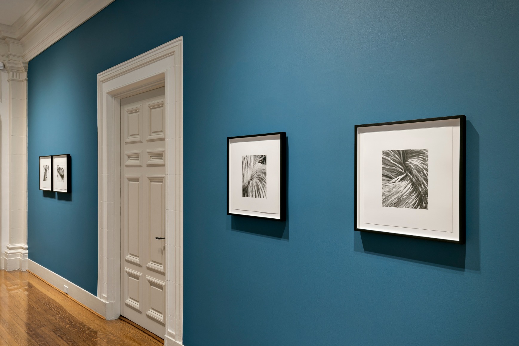 Rosana Castrillo D&iacute;az