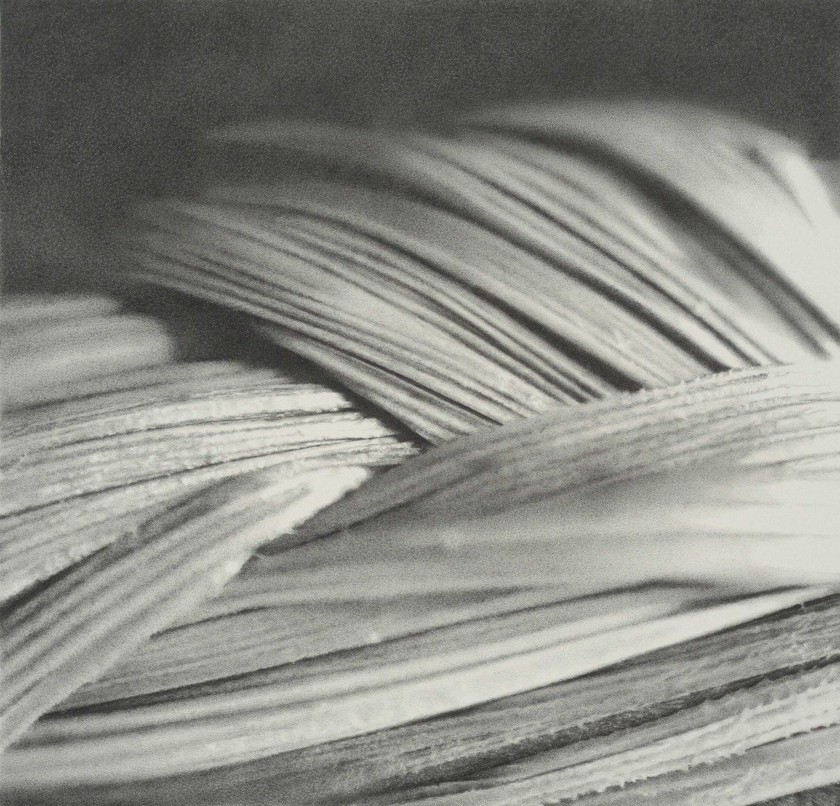 Rosana Castrillo Diaz, Untitled (RCD #5/27/18), 2018