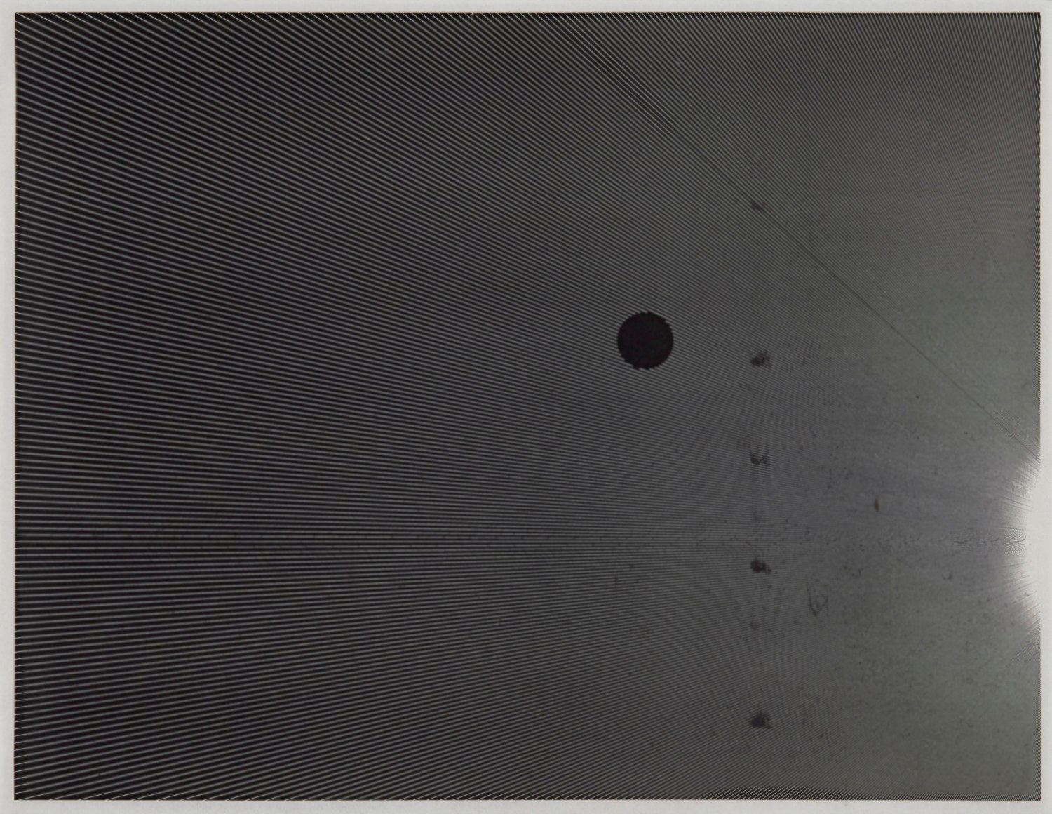 Marsha Cottrell Untitled, 2015