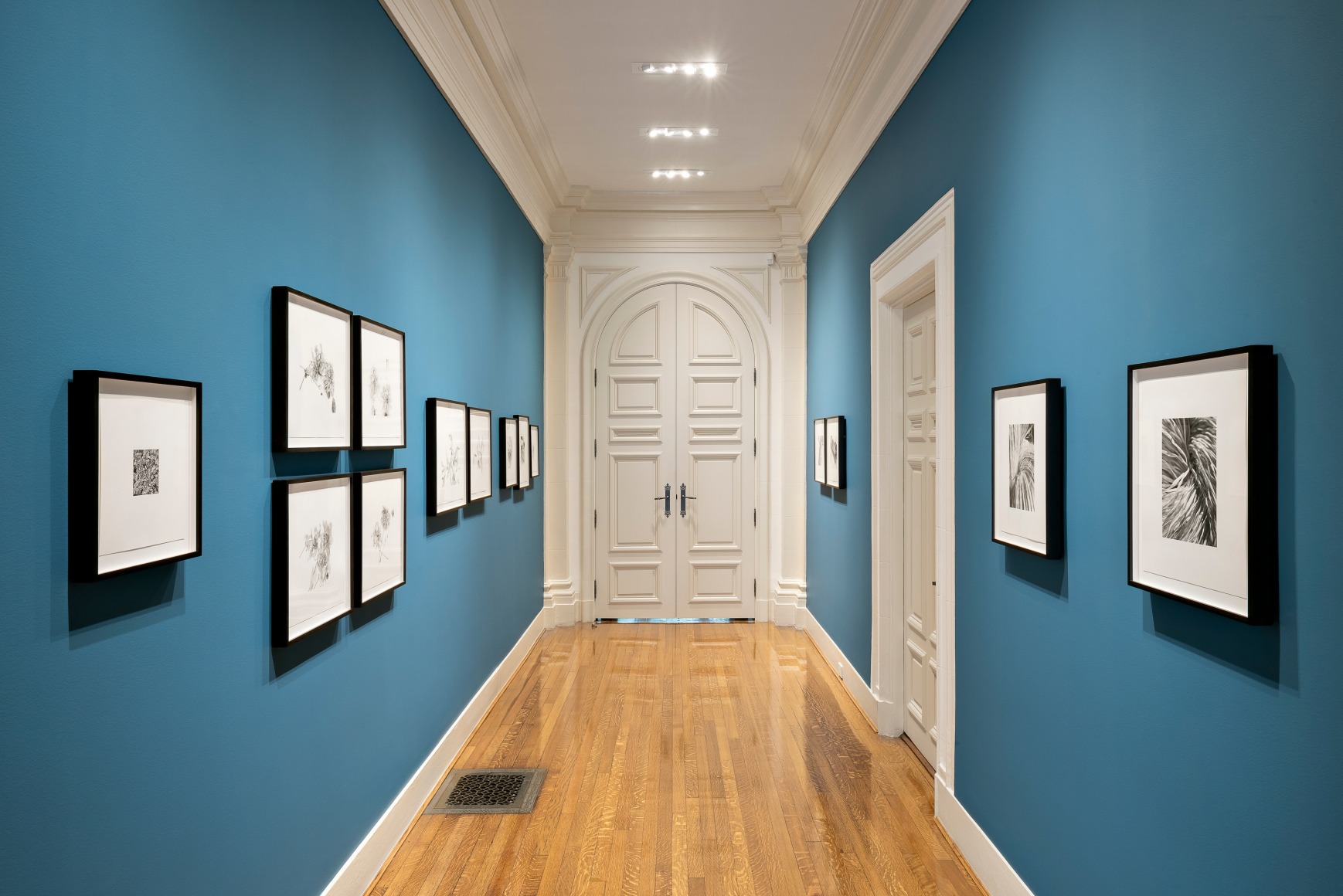 Rosana Castrillo D&iacute;az