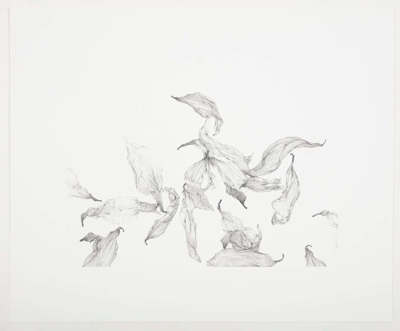 Rosana Castrillo Diaz, Untitled, 6/26/17, 2017