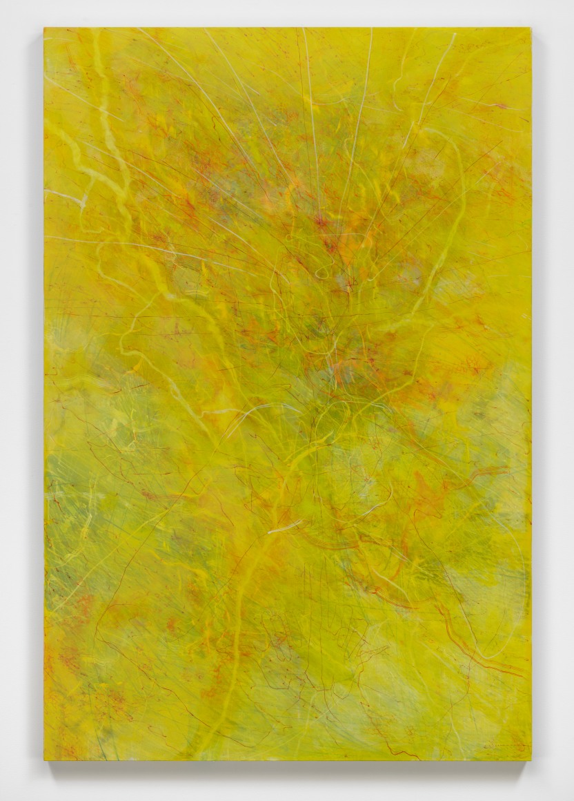 Diego Singh &quot;Opening up, fanning my yellow eye Illumination This is how my heart behaves&rdquo;, 2024