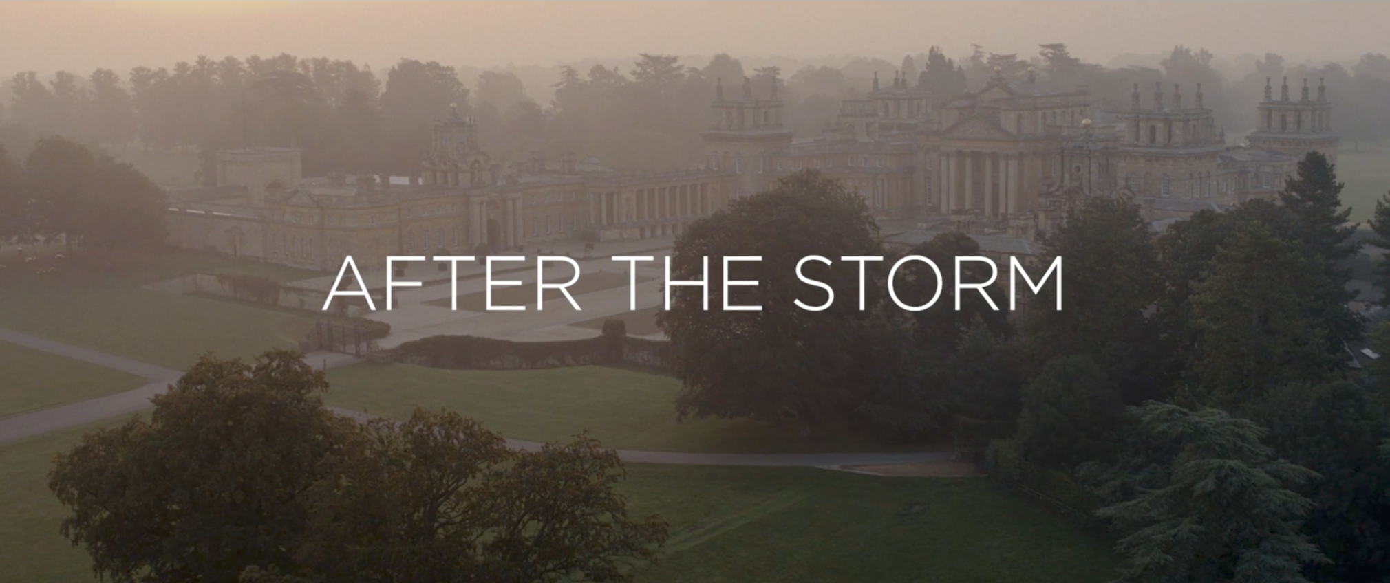 After the Storm: Mohammed Sami at Blenheim Palace