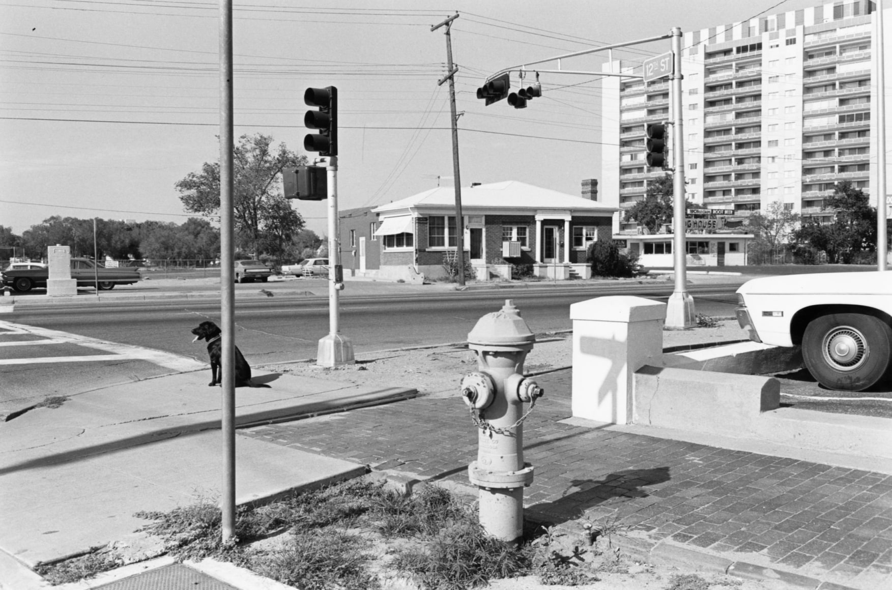 Lee Friedlander Albuquerque, 1972