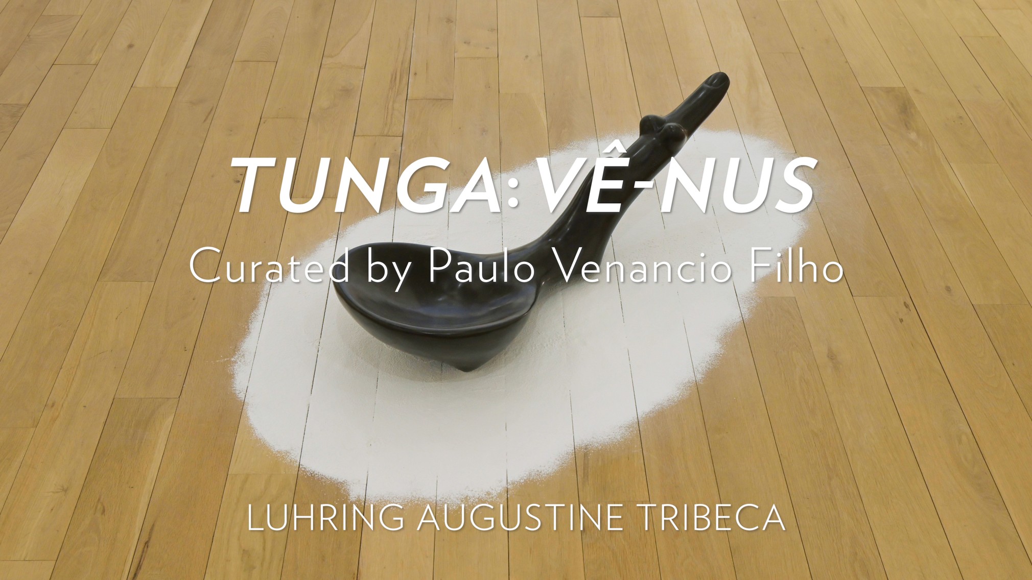 Tunga: Vê-nus Installation video