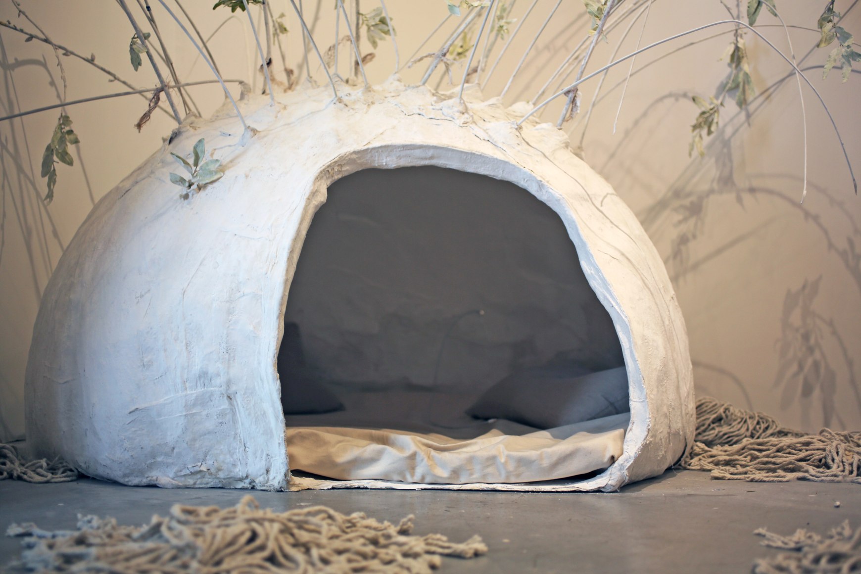 Rachel Lee Hovnanian: The Women's Trilogy Project