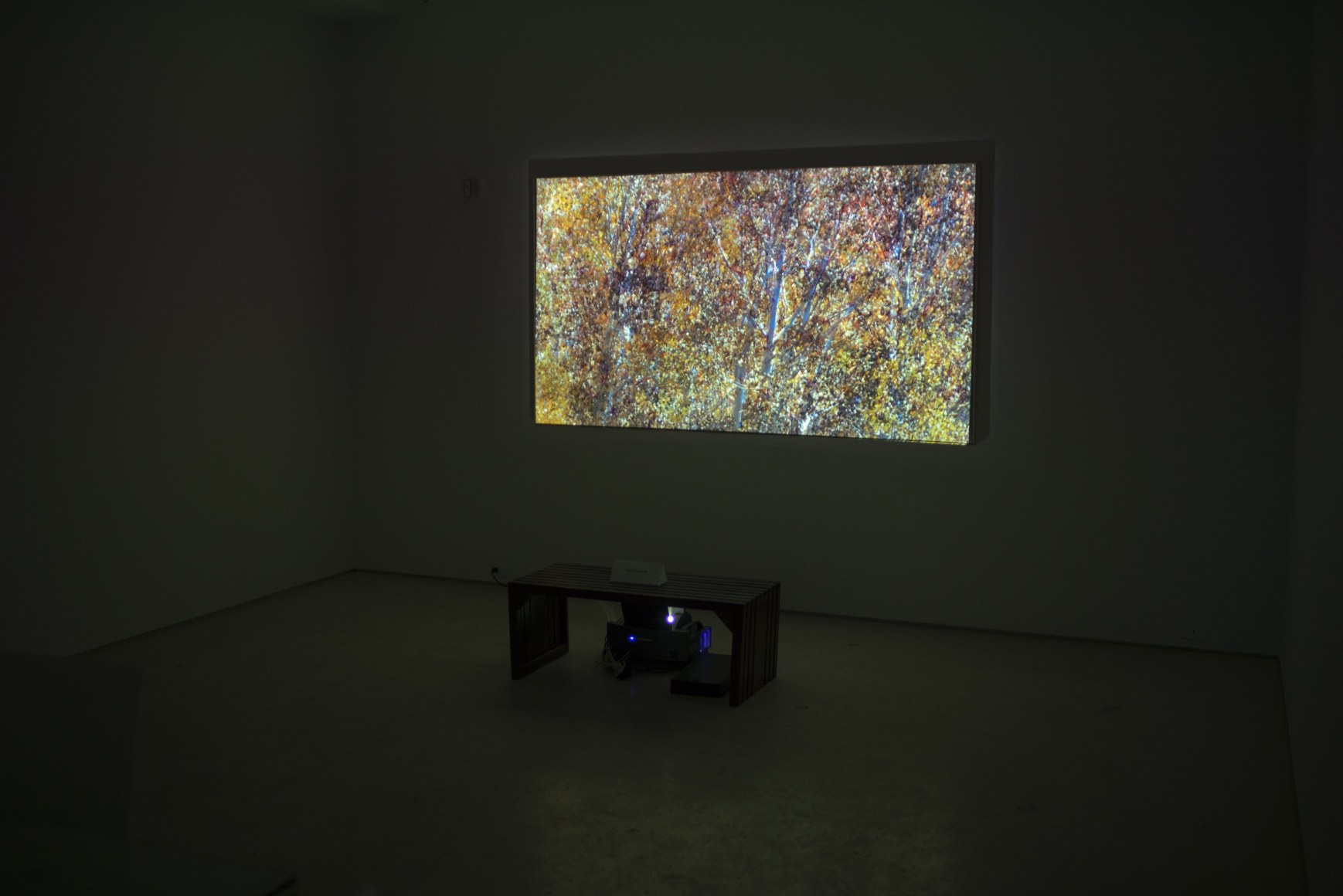 Shoja Azari &amp; Shahram Karimi: The Cold Earth Sleeps Below