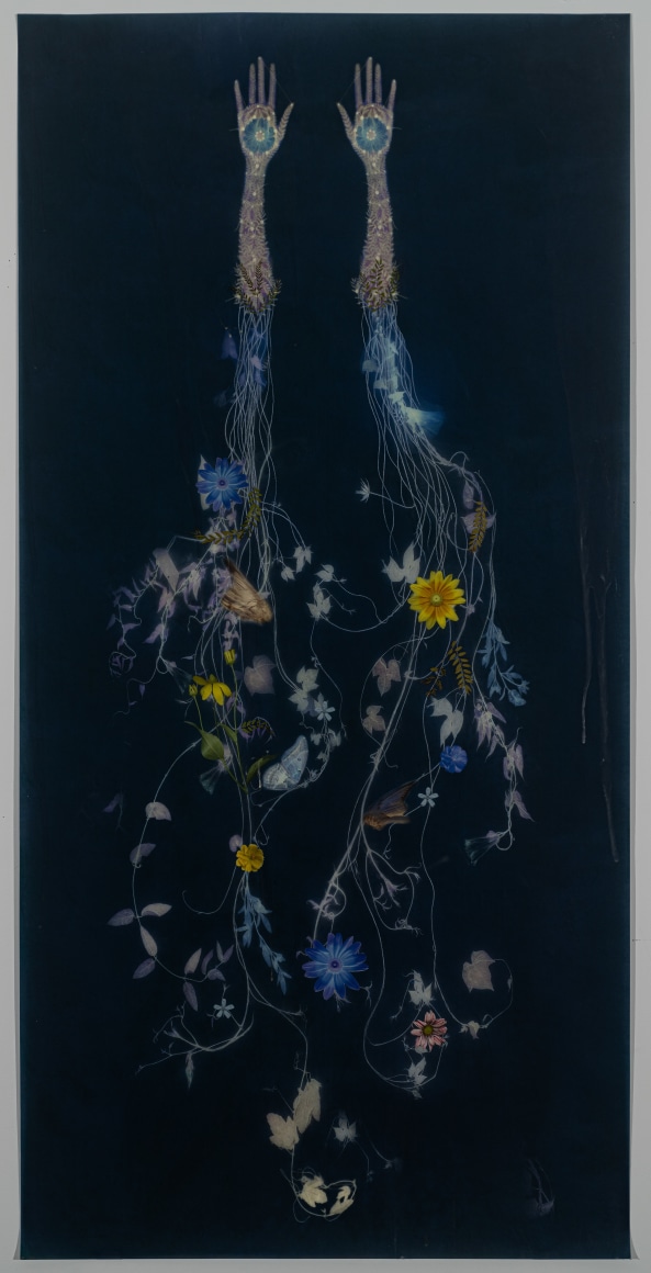 Valerie&nbsp;Hammond Traces (Nightshade), 2019