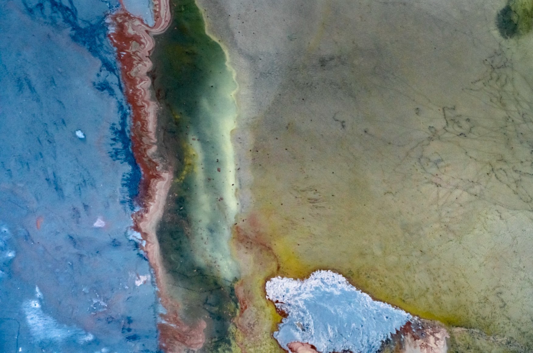 Diane Tuft, Inscape, 2022