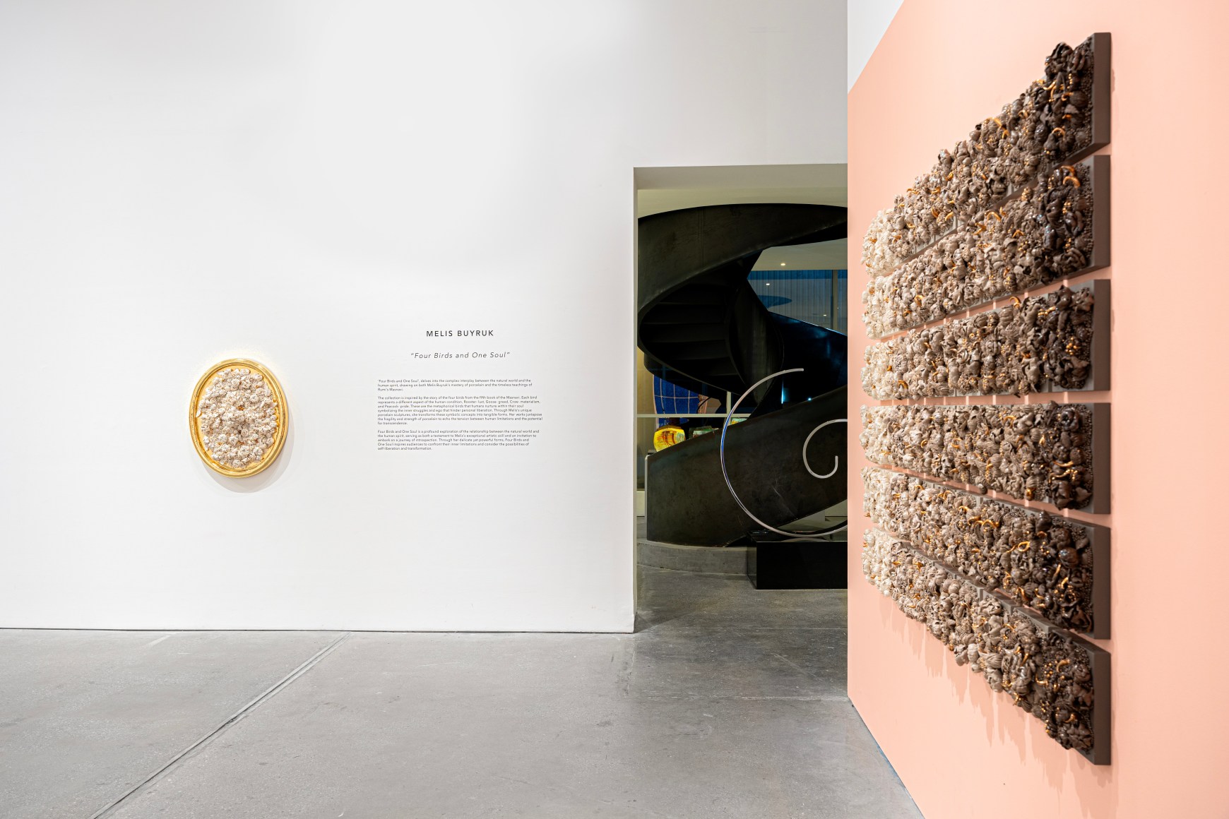 Melis Buyruk: Four Birds and One Soul