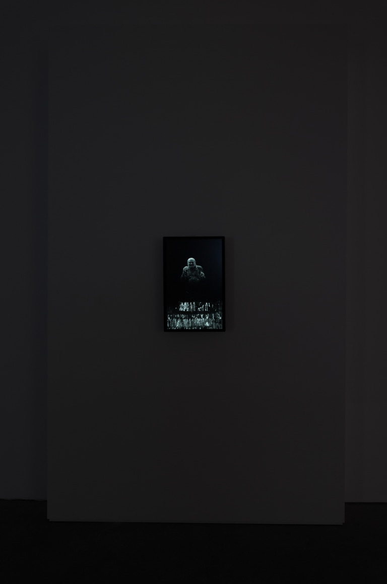 Bill Viola: The Vast