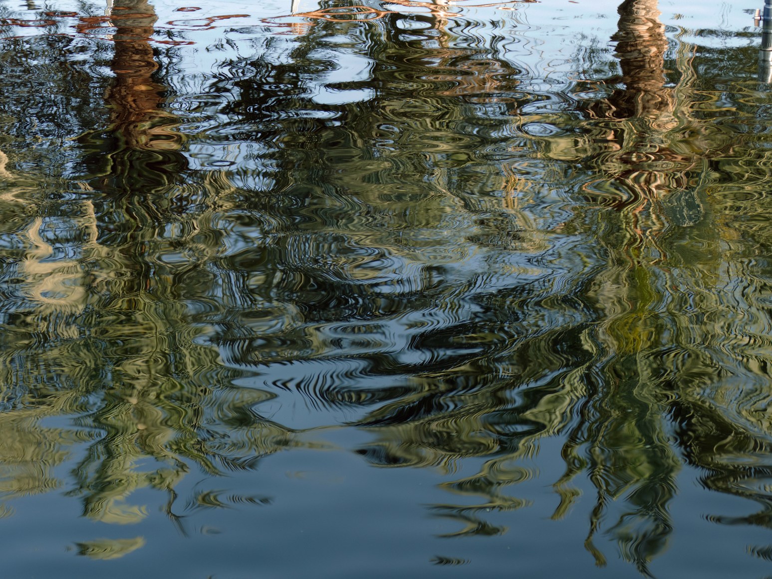 Maxi Cohen, The Sustainable City Dubai, 2022